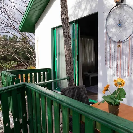 ホテル My House Urla *