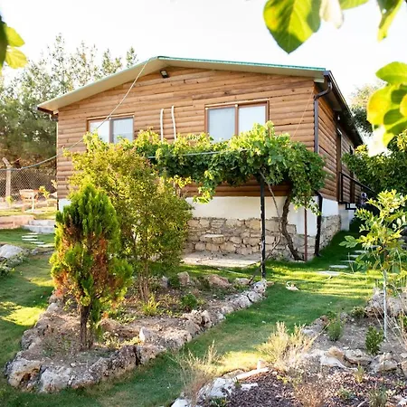 ホテル My House Urla