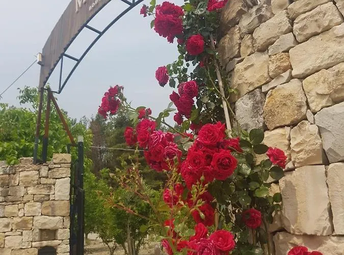 Otel My House Urla *